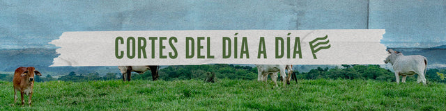 Cortes del día a día