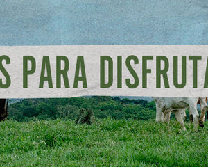 Collection image for: Listos para disfrutar