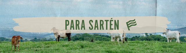 carne-para-sarten