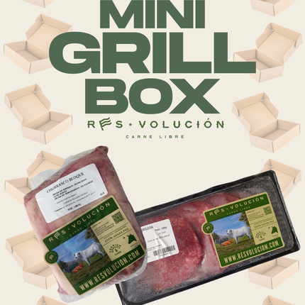 Mini Grill Box
